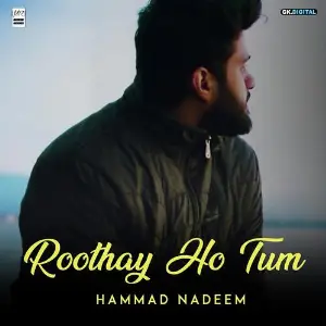Roothay Ho Tum image