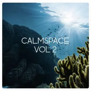 Calmspace, Vol. 2 image