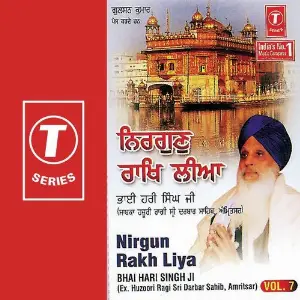 Nirgun Rakh Liya (Vol. 7) image