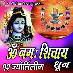 Om Namah Shivay image