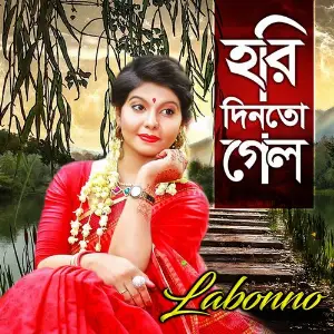 Hari Dinto Gelo image