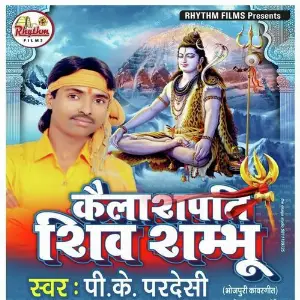 Kailash Pati Shiv Sambhu image