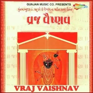 Vraj Vaishnav image