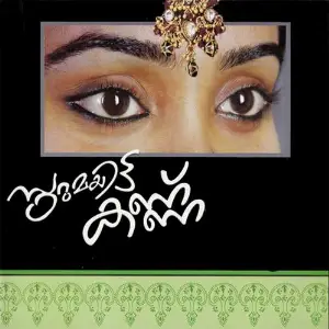 Surumayitta Kannu image