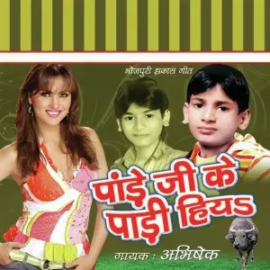 Pandey Ji Padi Hiya image