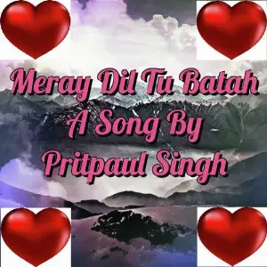 Meray Dil Tu Batah image