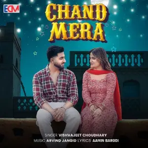 Chand Mera (feat. Vaishali Chaudhary) image