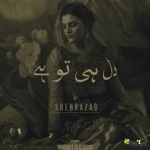 Dil Hee Toh Hai image