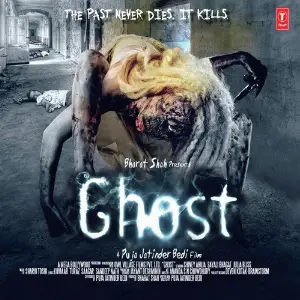 Ghost image