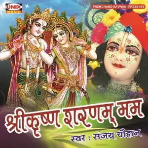 Shree Krishna Sharnam Mam image