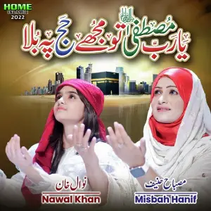 Ya Rabbe Mustafa Tu Mujhe Hajj Pe Bula image
