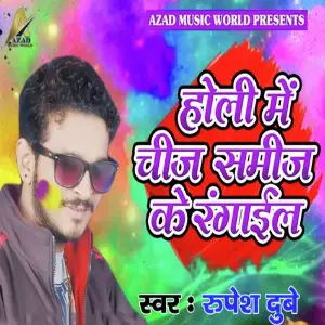 Holi Me Chiz Samiz Ke Rangail image