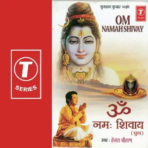 Om Namah Shivay image