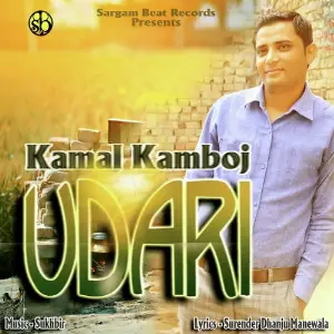 Udari image