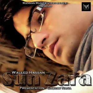 Tose Naina (Romantic Songs) Waleed Hassan