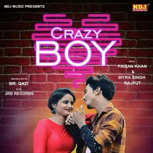 Crazy Boy image