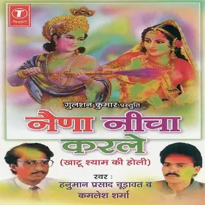Naina Neecha Karle image