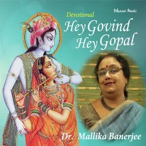 Hey Govind Hey Gopal image