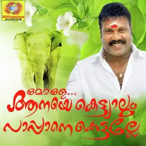 Mole Aanaye Kettiyalum Pappane Kettalle image