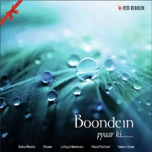 Boondein image