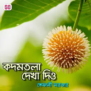 Kodomtola Dekha Dio image