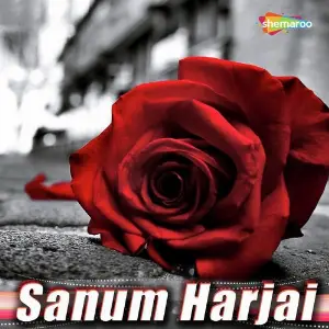 Sanum Harjai image