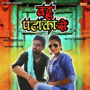 Bahu Pataka Se image