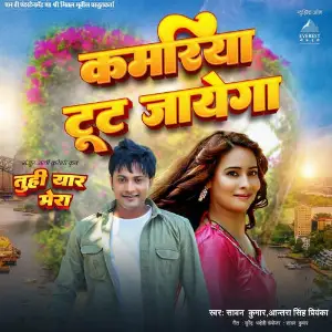 Kamariya Tut Jayega (From Tu Hi Yaar Mera) image