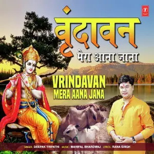 Vrindavan Mera Aana Jana image