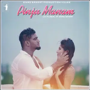 Pinju Manam image