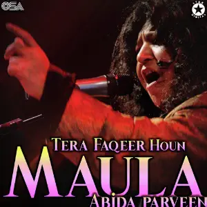 Tera Faqeer Houn Maula image