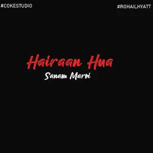 Hairaan Hua image