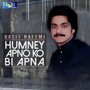 Humney Apno Ko Bi Apna image