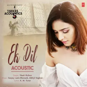 Ek Dil Acoustic (From T-Series Acoustics) image