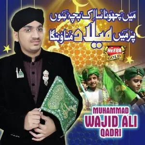 Main Chota Sa Ek Bacha Hon image