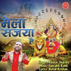 Mela Sajya Hai image
