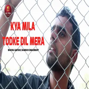 Kya Mila Todke Dil Mera image