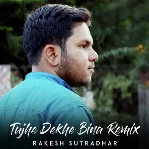 Tujhe Dekhe Bina (Remix Version) image