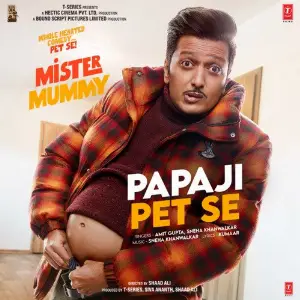 Papaji Pet Se (From Mister Mummy) image