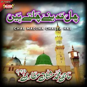 Chal Madina Chalta Hai image