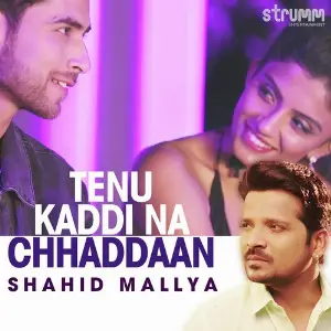 Tenu Kaddi Na Chhaddaan image