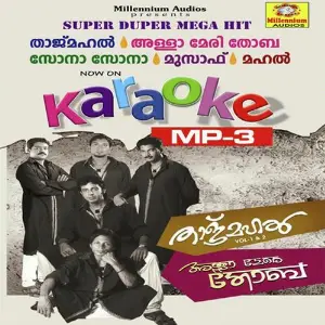 Tajmahal Karoke image