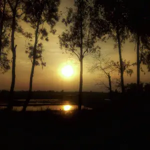 Oporadhi image