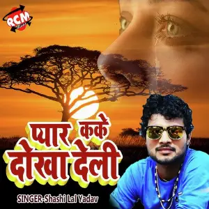 Pyar Kake Dhokha Deli image
