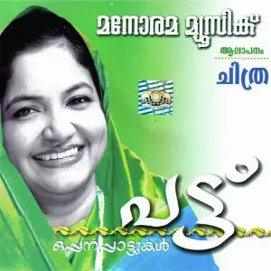 Pattu image