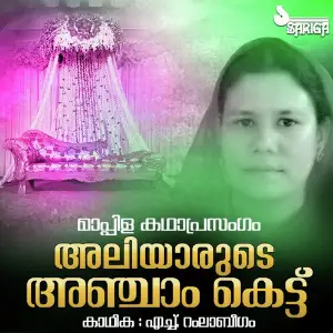 Aliyarude Anjam Kettu image