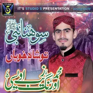 Sohna Nabi image