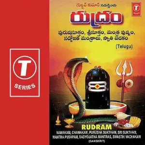 Rudram-Namakam, Chamakam, Purusha Suktham, Sri Suktam, Mantra Pushpam, Sadyojatha Mantras, Swasthi Vachakam image