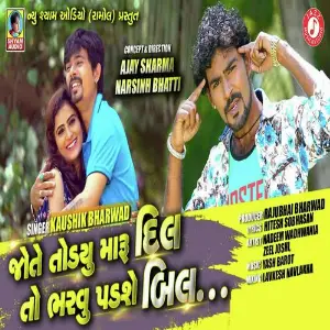 Jo Te Todyu Maru Dil Toh Bharvu Padse Bill image
