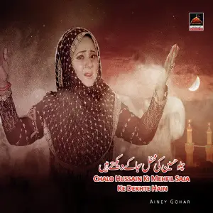 Chalo Hussain Ki Mehfil Saja Ke Dekhte Hain image